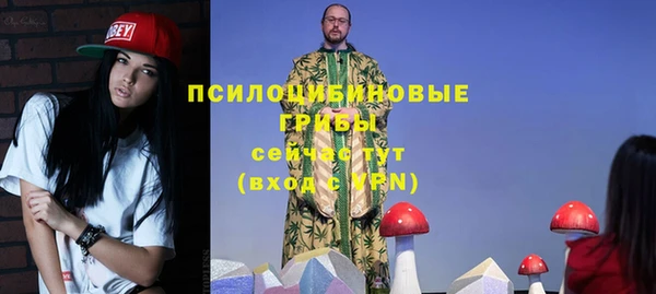 ешки Аркадак