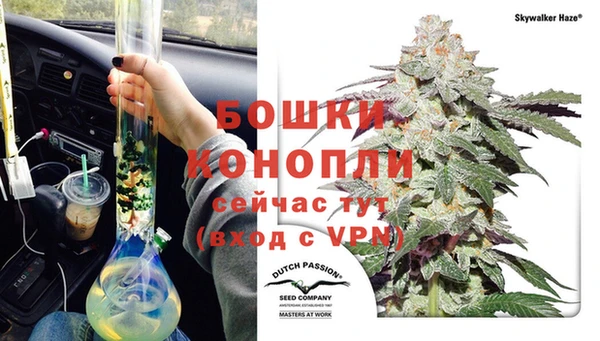 apvp Арсеньев