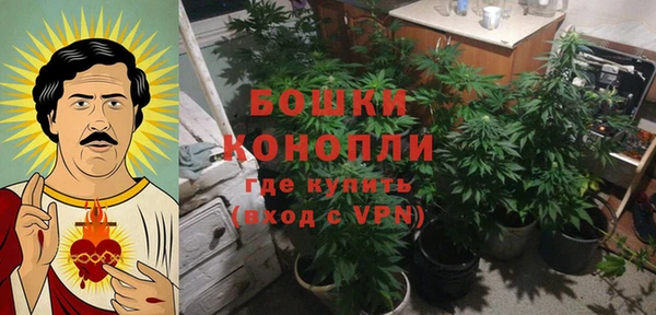 ешки Аркадак