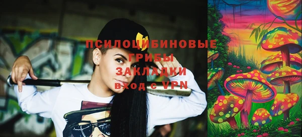 apvp Арсеньев