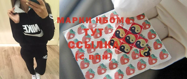 ешки Аркадак