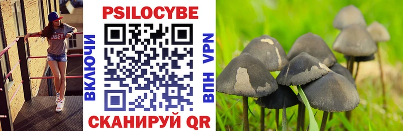 Псилоцибиновые грибы прущие грибы  Купить  Челябинск 
